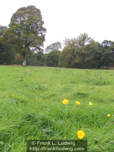 Lough Key Forest Park